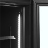 Vitrina Šaldytuvas Teigiama Juoda - 2 Stiklinės Durys - 524 L TEFCOLD: Elegancija ir Veikimas Profesionalams