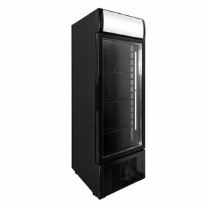 Vitrina gėrimams šaldyti - 300 L - Dynasteel