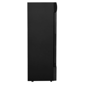 Vitrina gėrimams šaldyti - 300 L - Dynasteel