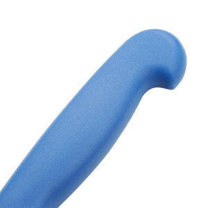 Virtuvinis peilis mėlynas, 25,5 cm ašmenys - Hygiplas - Fourniresto