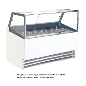 Phuket Ice Cream Display Case - 9 x 5 L - CombiSteel