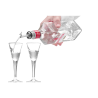 Pouring Spout with Flip Top Lid - Set of 6