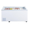 Neigiama šaldymo vitrina G serija 500L - Polar