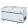 Neigiama šaldymo vitrina G serija 500L - Polar
