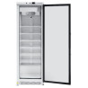 Armoire Congélation 400 L Vitrée Froid Ventilé -18/-22°C