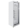 Armoire Congélation 400 L Vitrée Froid Ventilé -18/-22°C