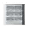 Armoire Congélation 400 L Vitrée Froid Ventilé -18/-22°C