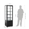 Vitrine Réfrigérée Noir Series C 235 L - Polar