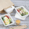 Compostable Bagasse Food Trays Fiesta 800ml - Pack of 100 - Fiesta Green