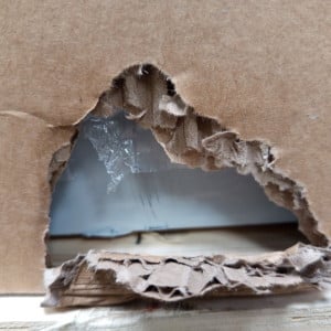 Saladette Šaldytuvas Star - 2 Durys Su Atidaromu Stogu