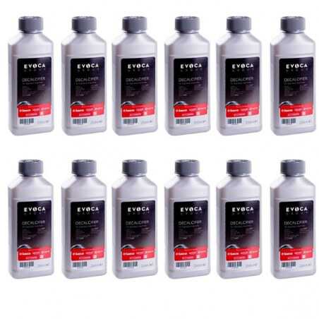 Kavos aparato kalkių šalinimo priemonė 250 ml - 12 butelių rinkinys - Saeco