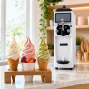 Soft Ice Cream Machine 16 L/h 1050 W - Dynasteel
