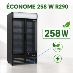 Vitrine gėrimams 736 L 2 stiklinės durys 2-8 °C R290