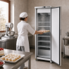 Armoire de Congélation 380 L Froid Ventilé -18/-22 °C