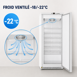 590 L Šaldiklio spinta Ventiliuojamas šaltis -18/-22°C