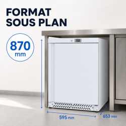 Mini neigiama šaldymo spinta 170 L -18°C balta