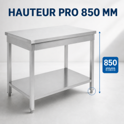 Table Inox 800x600 mm avec Étagère Basse — Pro