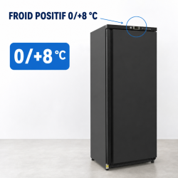 Armoire Réfrigérée Positive 376 L Noire 0/+8 °C