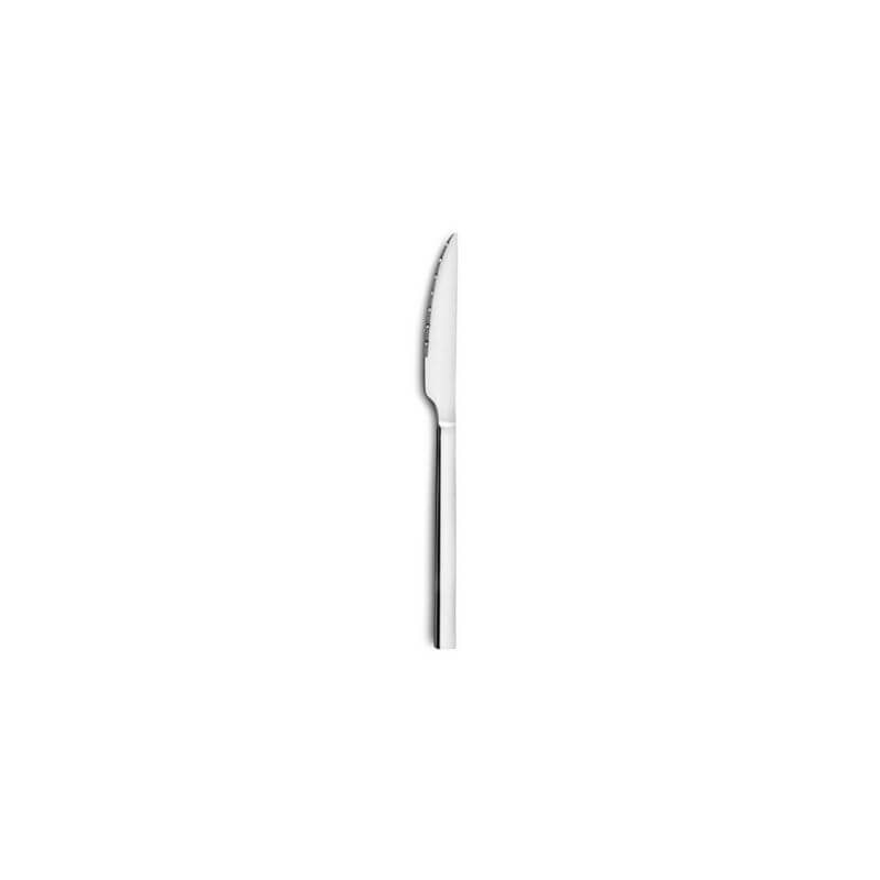 Couteau à Steak Gamme Caractère - Lot de 12 Couteau à Steak Gamme Caractère - Lot de 12