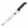 Patiekalo peilis su dantytu peiliu 25,5 cm - Victorinox - Fourniresto