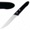 Steikinio peilis - 250 mm - 12 vnt. - DEGLON