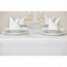 Balta satino juosta antklodė 1780 x 2740 mm - Mitre Luxury - Fourniresto