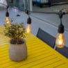 Guirlianda su siūlų lemputėmis - Mafy Light - Lumisky