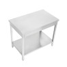 Stainless Steel Table 800x600 mm with Lower Shelf — Pro