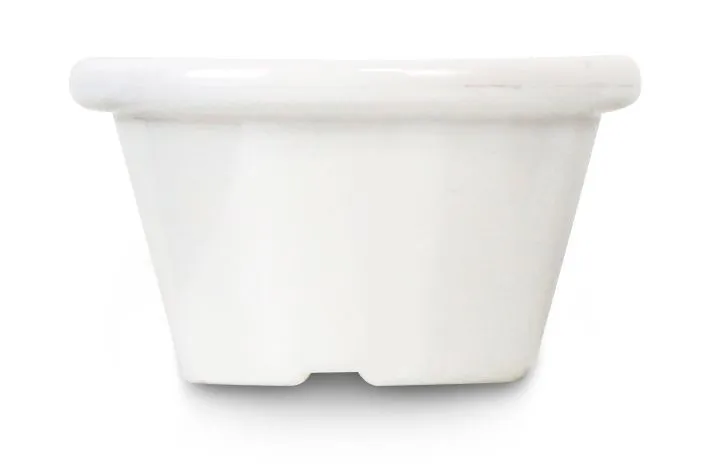Ivory spalvos plastikiniai ramekinai - 12 vnt.