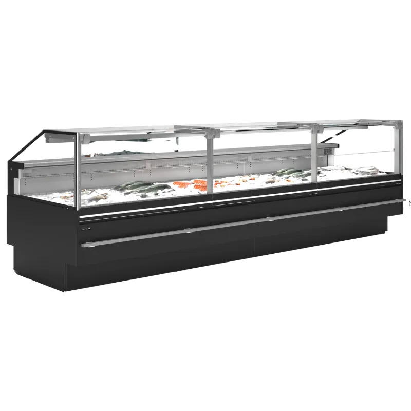 Vitrina Premium šviežiai žuviai - 1000 W