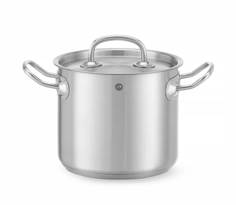Puodas su dangčiu - 45 L