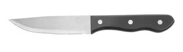 Steiko peilis XL - 6 vnt.